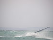P4102276-01.jpg