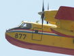 tihomir_051.jpg
