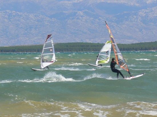 Kliknite da vidite sliku u punoj veli�ini