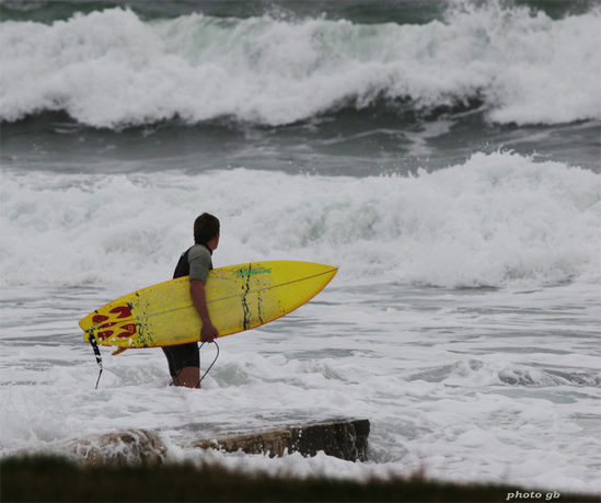 Kliknite da vidite sliku u punoj veli�ini